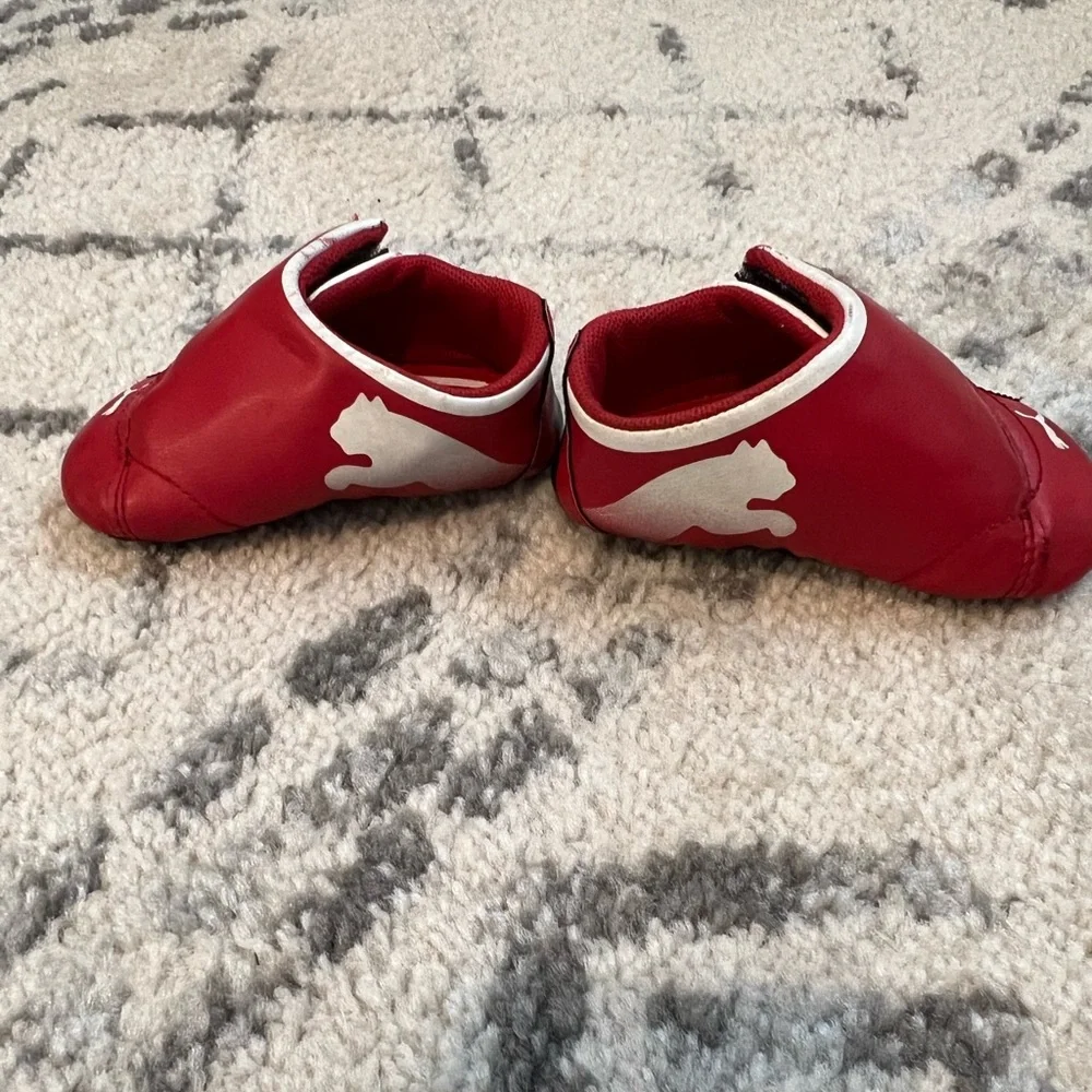 Puma loved @theanamachine